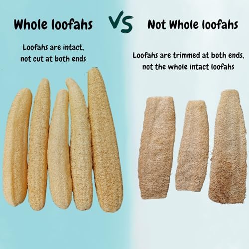 5 Pcs (7 – 10 Inches) Shower Loofah Exfoliating Body Scrubber | Natural Loofah Sponge | Bath for Loofah for Men and Women | Pack of 5
