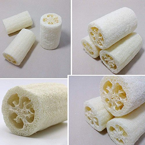 100% Large (5" Length) Nature 6 Pack of Organic Loofahs Loofah Spa Exfoliating Scrubber Natural Luffa Body Wash Sponge Remove Dead Skin Made Soap