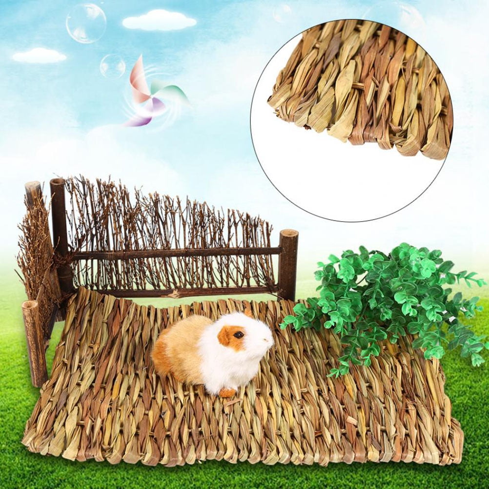 2pcs Pet Mat Grass Mats Safe Edible Mats Cages Chew Toys for Pets Size 40x28CM