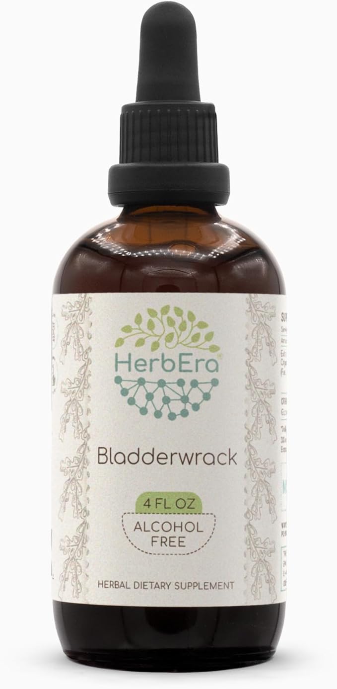 Bladderwrack B120 Alcohol-Free Herbal Extract Tincture, Concentrated Liquid Drops Natural Bladderwrack (Fucus Vesiculosus) Dried Plant (4 fl oz)