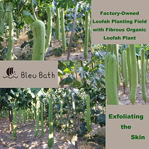 (6 Pack) Dual-Sided Exfoliating Skin Towel Natural Terry Body Cloth Scrubber Premium Sturdy Loofah Towel Soft and Buffing Wash Cloth White for Either Oil or Dry Skin