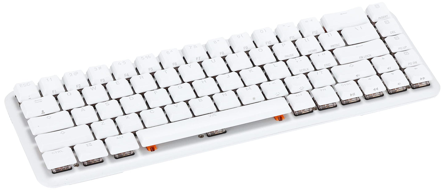 Fnatic STREAK65 LP | White | Compact RGB Gaming Mechanical Keyboard Speed Switches | PBT Doubleshot Keycaps | 65% Layout (60 65 Percent) Low Profile Esports Keyboard (US ANSI Layout, QWERTY)