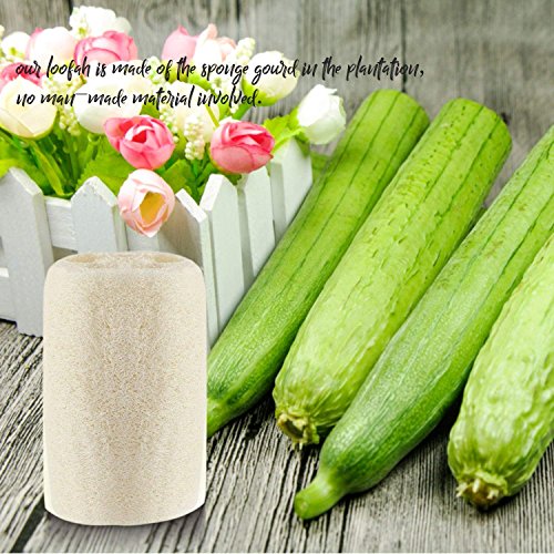 100% Large (5" Length) Nature 6 Pack of Organic Loofahs Loofah Spa Exfoliating Scrubber Natural Luffa Body Wash Sponge Remove Dead Skin Made Soap