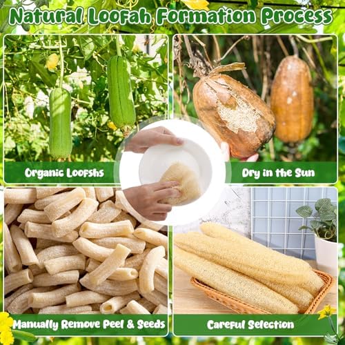 15.7-19.7 inches Natural Loofah Sponges Pack of 4 for Kitchen Dishes Body Scrubber