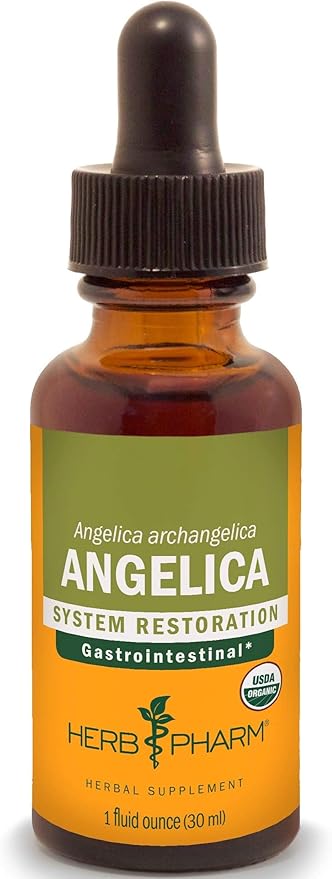 Herb Pharm Certified Organic Angelica Root Liquid Extract for Digestive Support, 1 Fl Oz