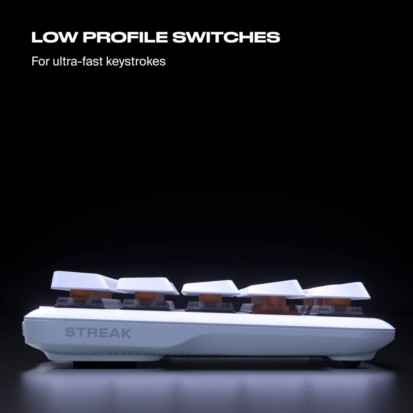 Fnatic STREAK65 LP | White | Compact RGB Gaming Mechanical Keyboard Speed Switches | PBT Doubleshot Keycaps | 65% Layout (60 65 Percent) Low Profile Esports Keyboard (US ANSI Layout, QWERTY)