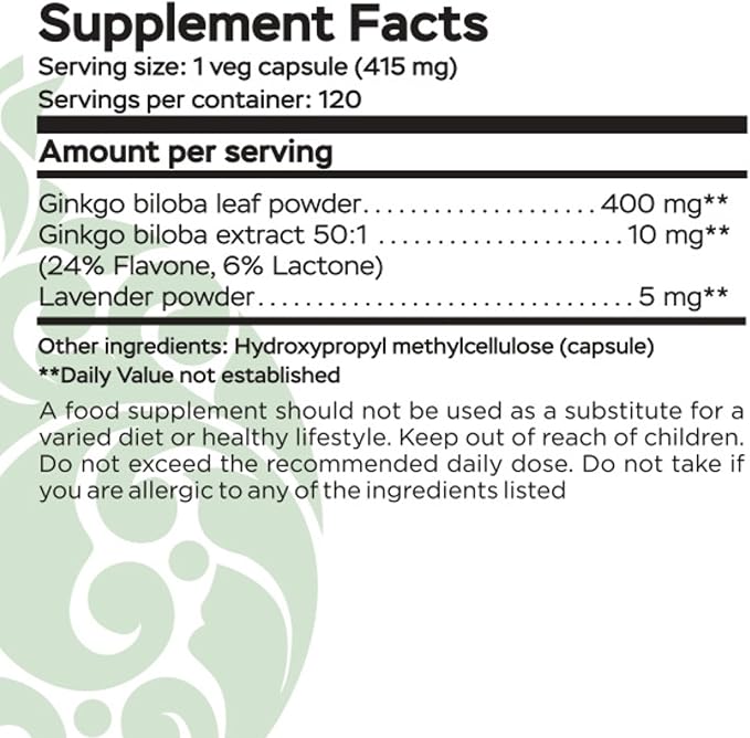 Ginkgo Biloba Support Brain Function, Supplements for Memory and Focus, Natural Antioxidant-Rich, Promotes Overall Health, 120 Vegetarian Capsules, GMP