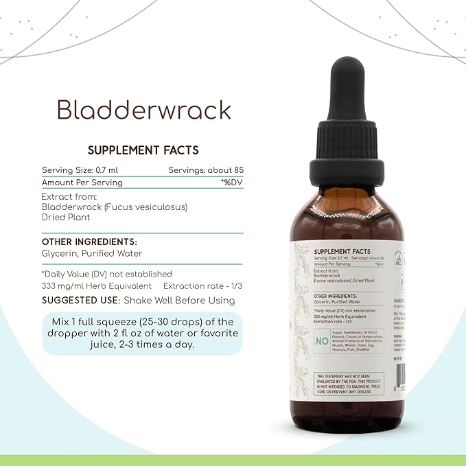 Bladderwrack B60 Alcohol-Free Herbal Extract Tincture, Concentrated Liquid Drops Natural Bladderwrack (Fucus Vesiculosus) Dried Plant (2 fl oz)