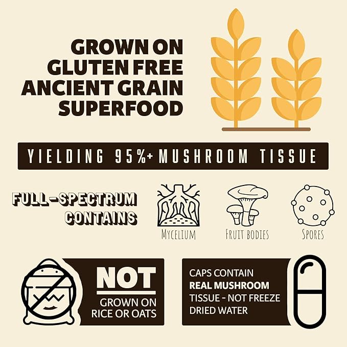 Brain Forza Organic Turkey Tail Mushroom Capsules, Mushroom Powdered Immune Support, Liver and Digest Health Support, Organic Defense Support, Non-GMO, Vegan, Organic, 90 Capsules