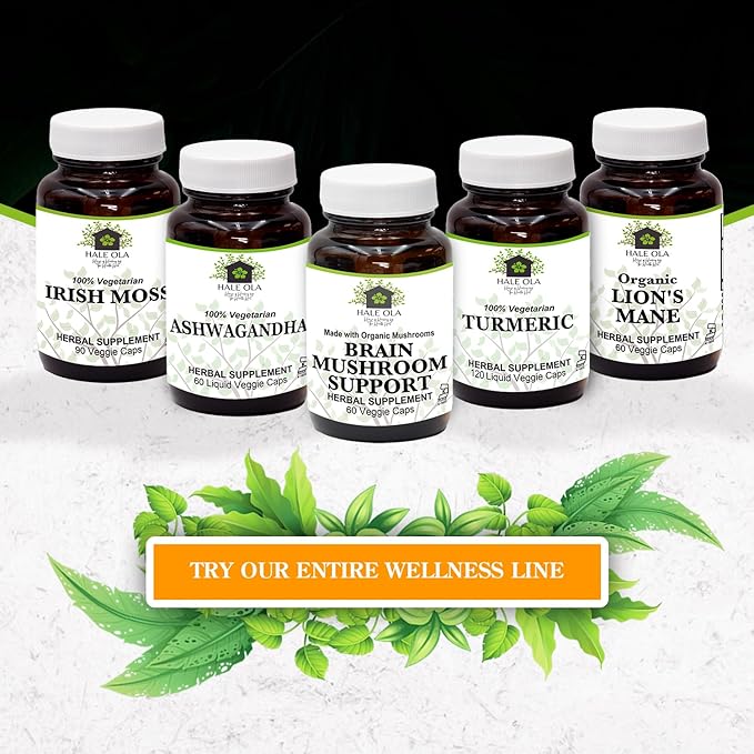 Brain Mushroom Support – Non-GMO & Kosher Certified Supplement with Potent Mushroom Blend for Enhanced Mental Clarity, Energy, Focus, Memory Function & Cognitive Health