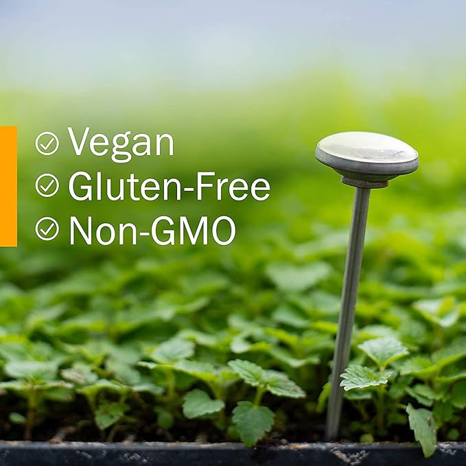 Herb Pharm Certified Organic Angelica Root Liquid Extract for Digestive Support, 1 Fl Oz (Pack of 2)