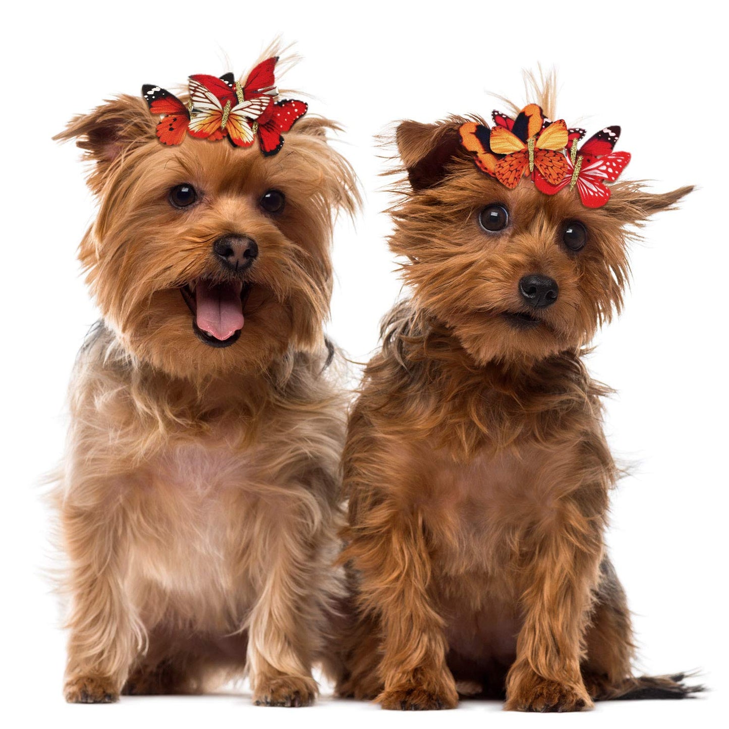 Boao 18 Pieces Glitter Butterfly Hair Clips for Girls Teens Women Hair Accessories (Bright Style)