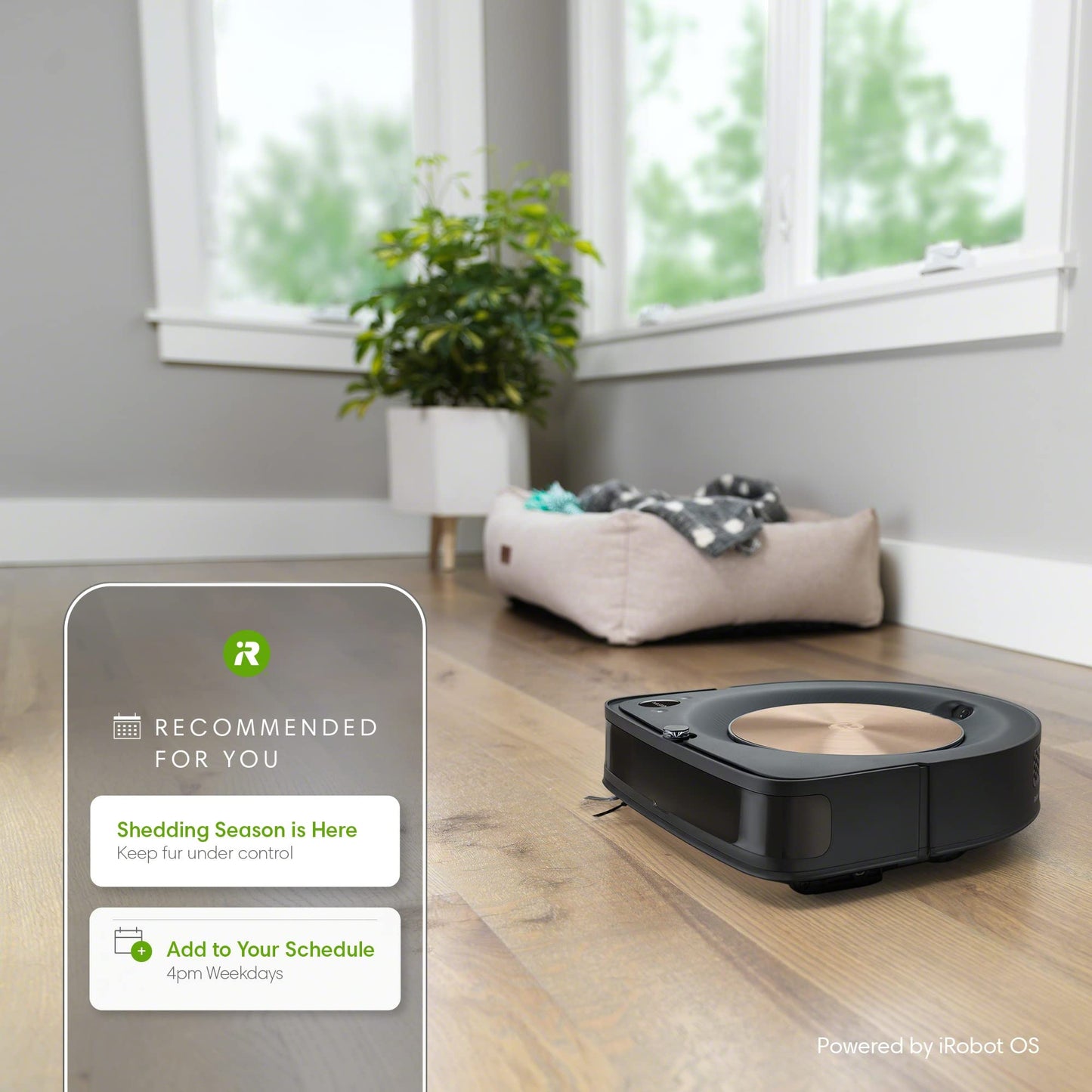 iRobot Roomba s9+ Self Emptying Robot Vacuum - Self-Empty for 60 Days, Detects & Cleans Around Objects in Your Home, Smart Mapping, Powerful Suction, Corner & Edge Cleaning