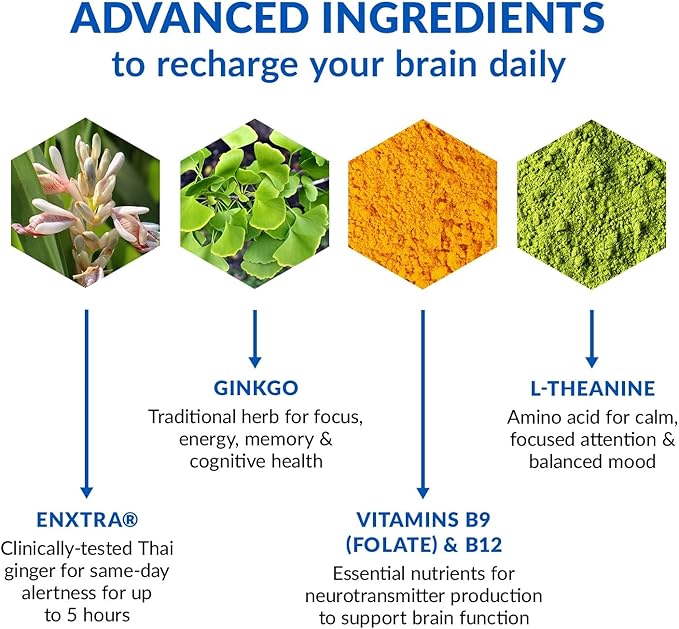 BioTrust Brain Bright – Daily Nootropic Boost for Focus, Concentration, Mental Clarity – Caffeine Free Nootropics Brain Support Supplement – Thai Ginger, Ginkgo, Folate, L-Theanine – 30 Servings