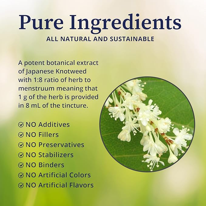 BioPure Japanese Knotweed Herbal Tincture – Potent Botanical Extract Rich in Polyphenols Including Resveratrol to Support Liver & Immune Function, Cellular Health, and Microbiome Balance – 2 fl oz