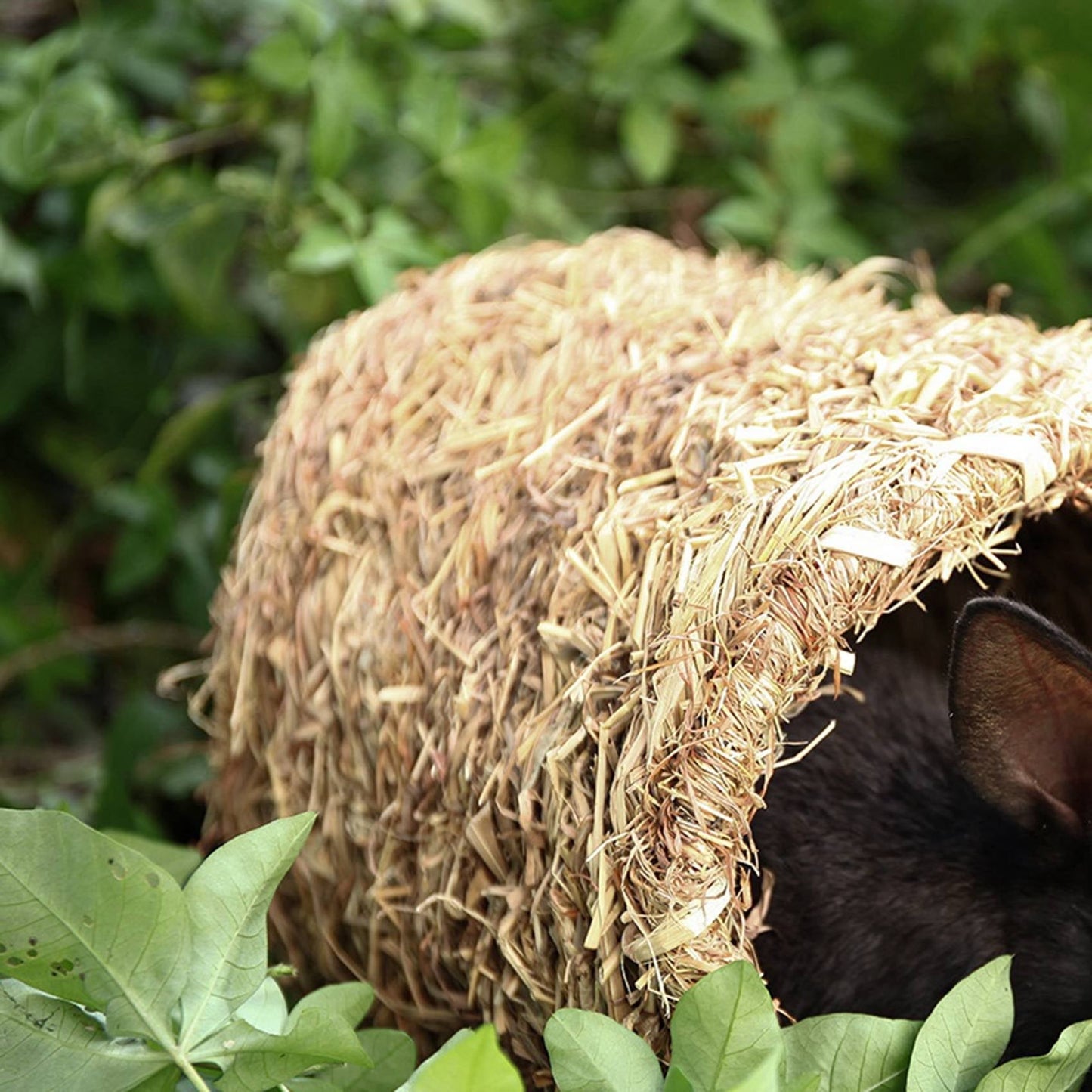 2X Grass House Tunnel Hutch Woven Hut for Laying Or Sleeping Edible Chew Home for Rabbits and Small Animals