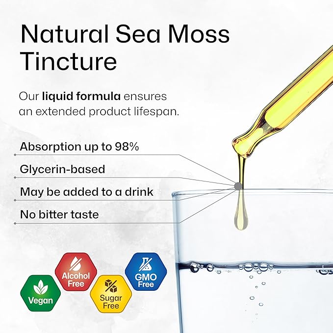 BIO KRAUTER Lion's Mane Tincture 4 Fl. Oz. & Sea Moss Tincture 4 Fl. Oz.