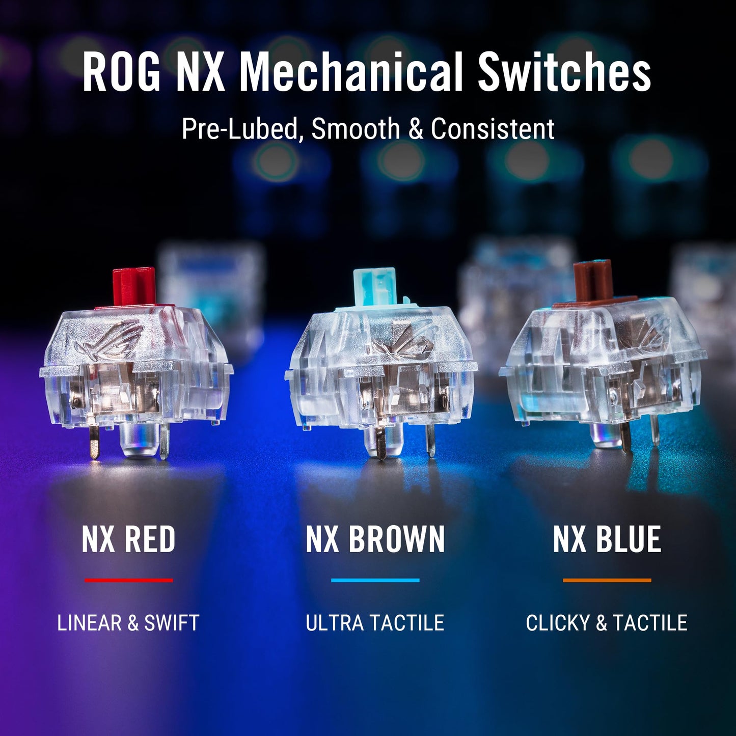 ASUS ROG Azoth 75% Wireless DIY Custom Gaming Keyboard, OLED Display, Gasket-Mount, Three-Layer Dampening, Hot-Swappable Pre-lubed NX Brown Switches & Keyboard Stabilizers, ABS Keycaps, RGB-Black