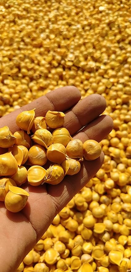 Japanese Garlic//AJO Japones (100% Natural!!) Choose Your Count per Bag: (30-60-130-150-250-400)