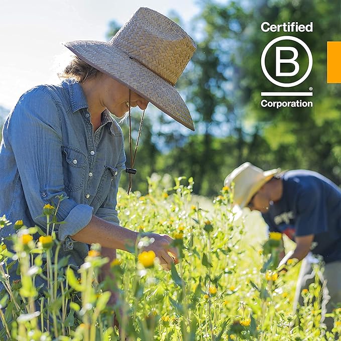 Herb Pharm Certified Organic Angelica Root Liquid Extract for Digestive Support, 1 Fl Oz (Pack of 2)