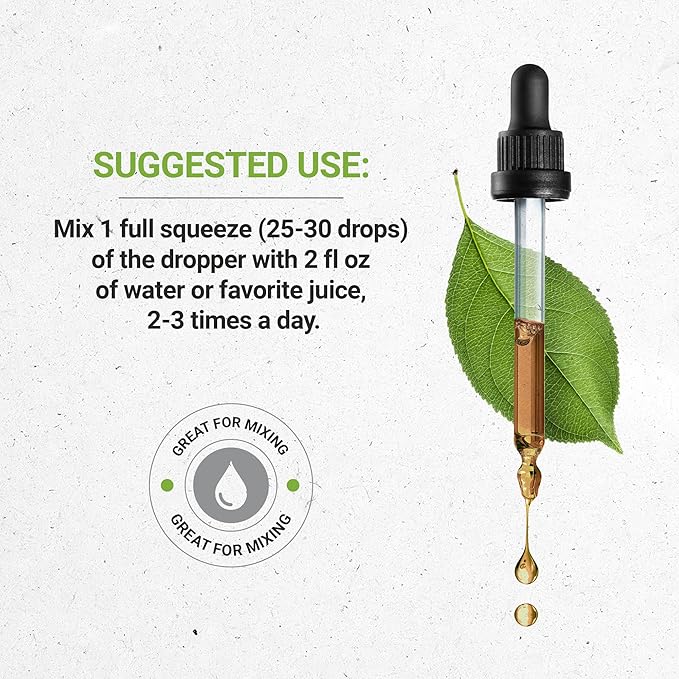 Black Elderberry USDA Organic Tincture | Alcohol-FREE Extract, High-Potency Herbal Drops, Immune System Health | Made from 100% Certified Organic Black Elderberry (Sambucus Nigra) 4 oz