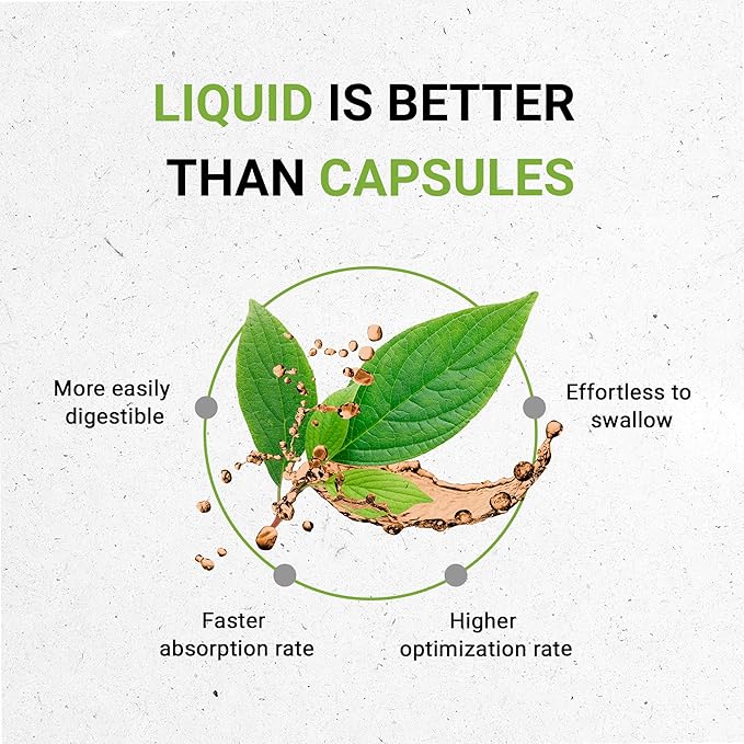 Black Elderberry USDA Organic Tincture | Alcohol-FREE Extract, High-Potency Herbal Drops, Immune System Health | Made from 100% Certified Organic Black Elderberry (Sambucus Nigra) 4 oz