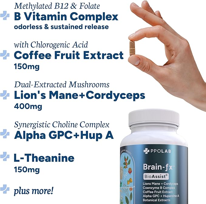 Brain-fx™ Nootropic Brain Energy Memory & Focus Supplement, Lions Mane Extract, L Theanine, Methyl B12 5MTHF B Complex, Alpha GPC Choline, Bacopa Monnieri, Ginseng, Cordyceps, Huperzine A BDNF Factor