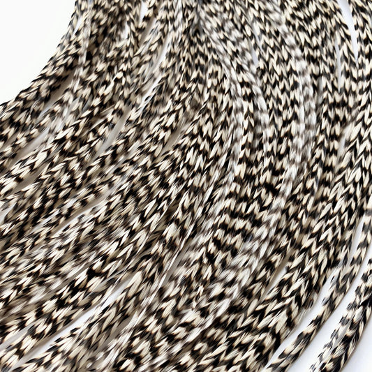 Black and White Striped Hair Feathers DIY Kit for Feather Extensions- 20 Real Rooster Feather Accessories, microlink beads and loop tool by Feather Lily