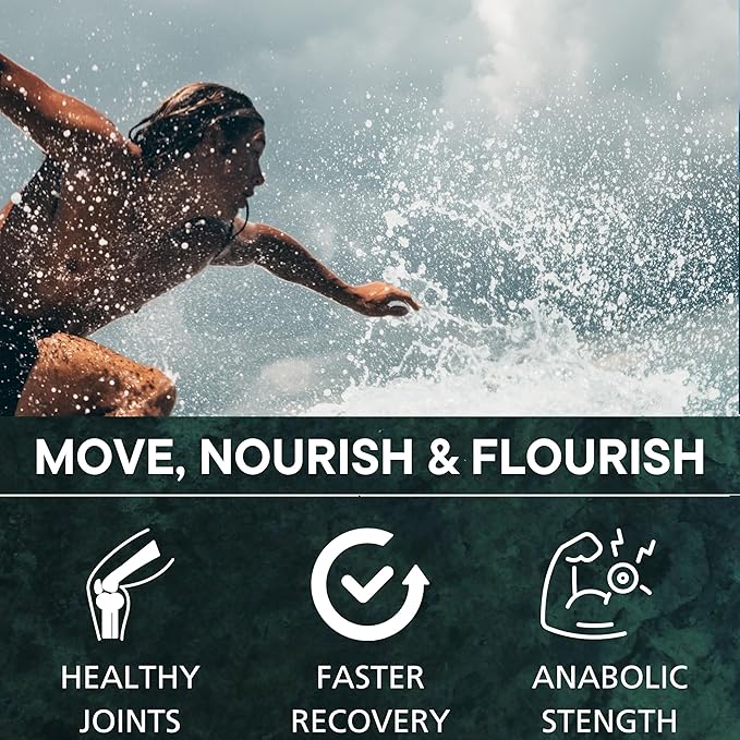 3 in 1 Pure Shilajit Resin Irish Sea Moss with Black Seed Oil and Magnesium Glycinate for Ultimate Gut Health and Vitality 90 Pills Each