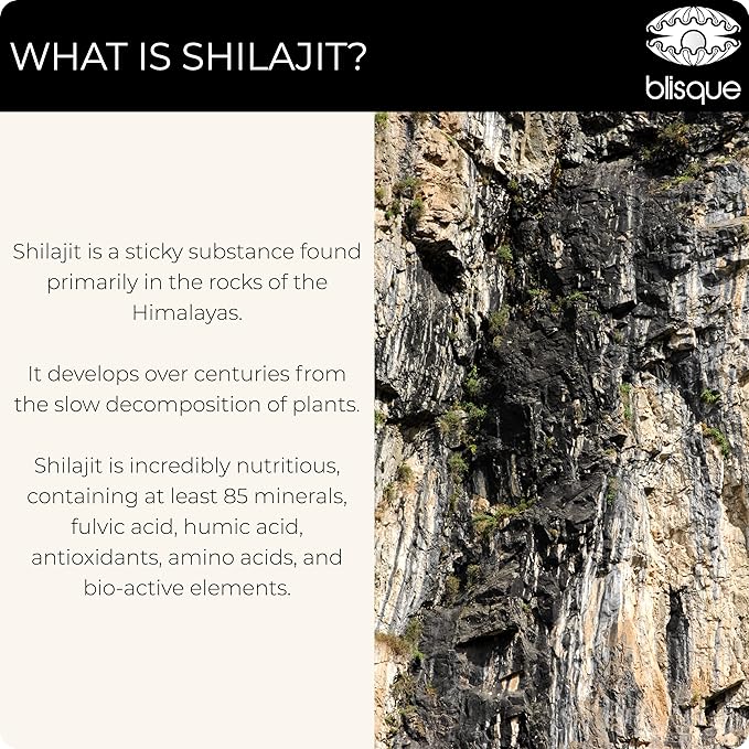 Blisque – Pure Himalayan Organic Shilajit Resin Supplement | Authentic and Natural | Golden Grade A | Contains Fulvic Acid and Trace Minerals | 60 Grams
