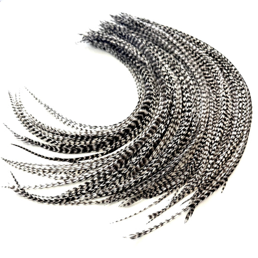 21 Grizzly Color Hair Feathers - 9”- 14” Long - Feathers for Hair Extension, Hair Extension DIY Kit - Eye-Catching Design - 20 Micro-link Beads - 100% Real Rooster Feathers