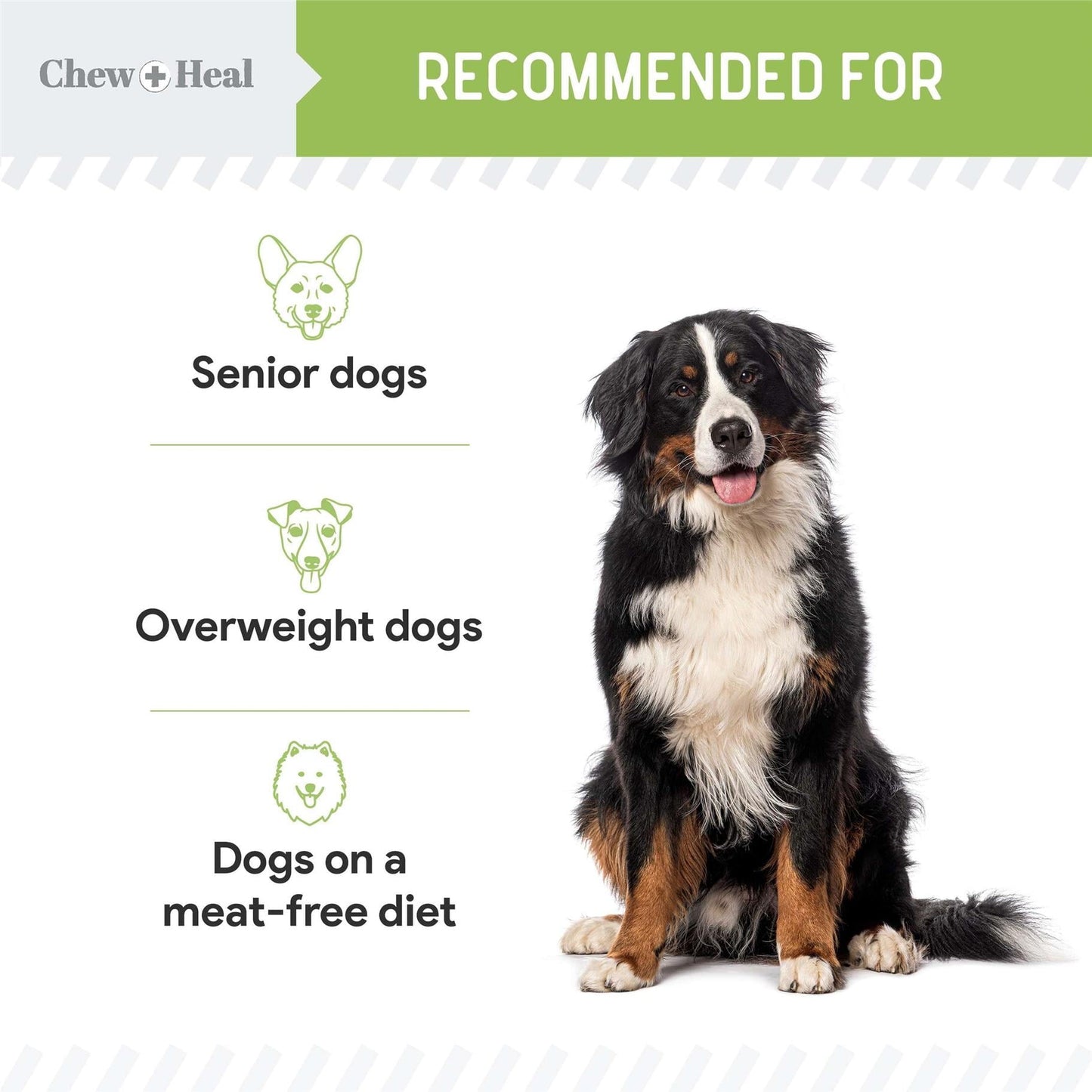 Chew + Heal Low Calorie Dog Jerky Treats - 5 oz of Plant Based Natural Dog Treats