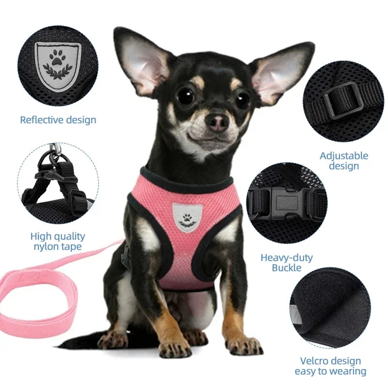 Breathable Summer Dog Cat Harness