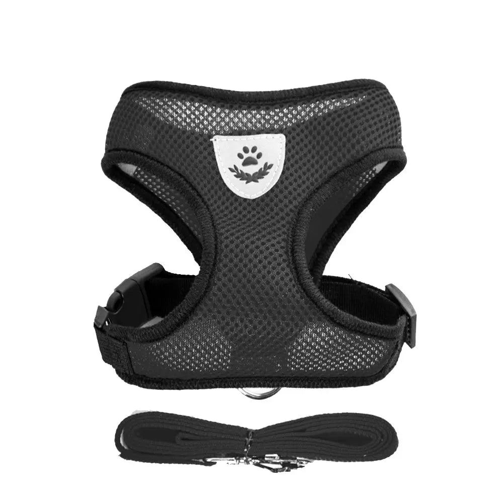 Breathable Mesh Dog Leash & Harness