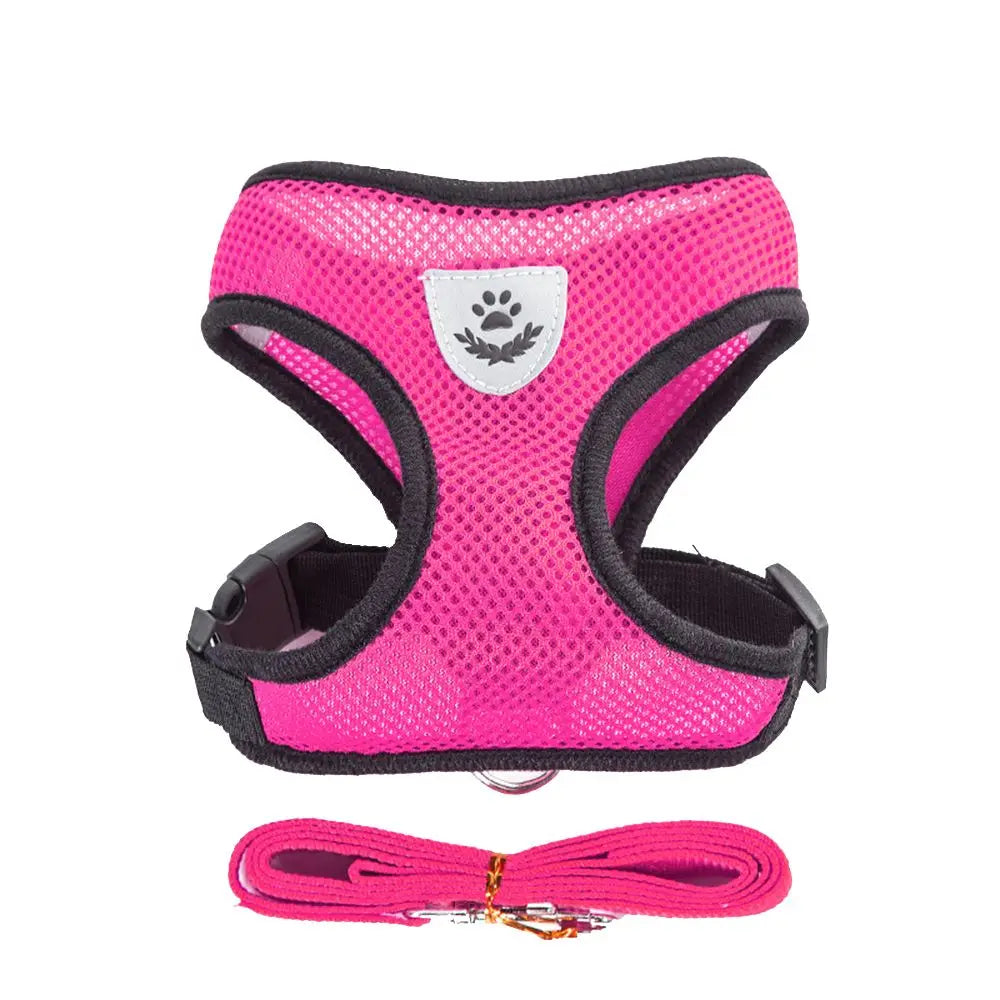 Breathable Mesh Dog Leash & Harness