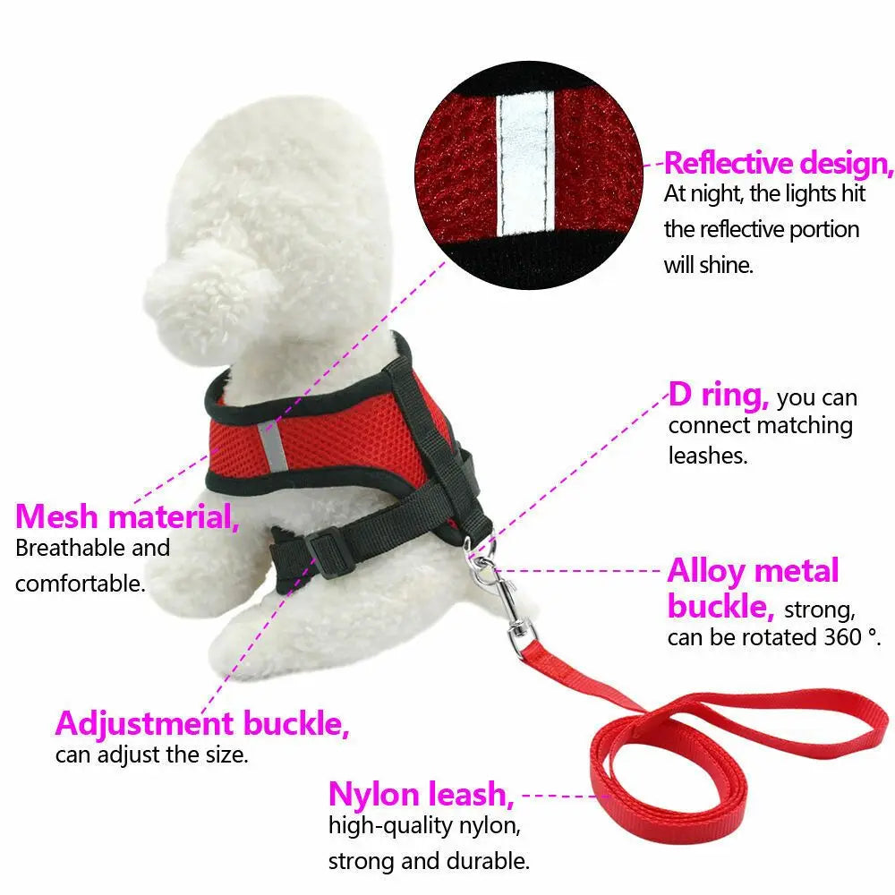 Breathable Mesh Dog Leash & Harness
