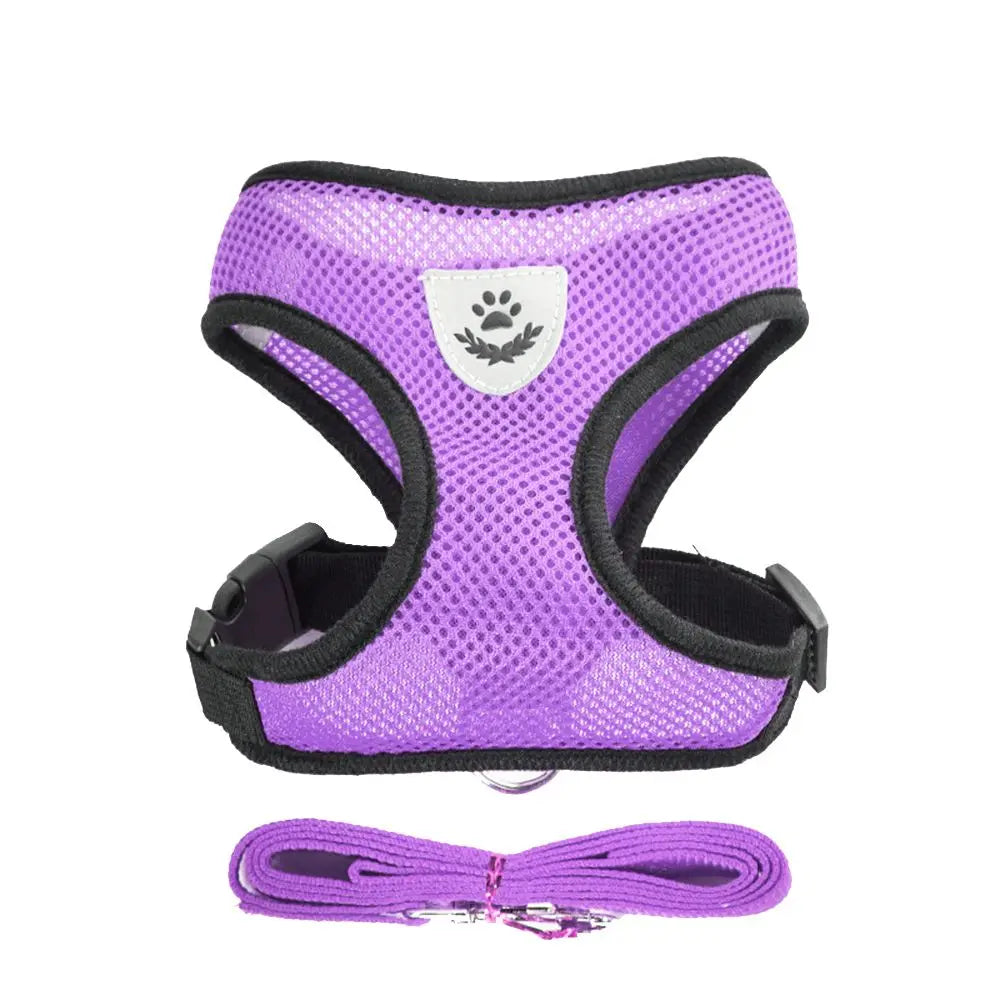 Breathable Mesh Dog Leash & Harness