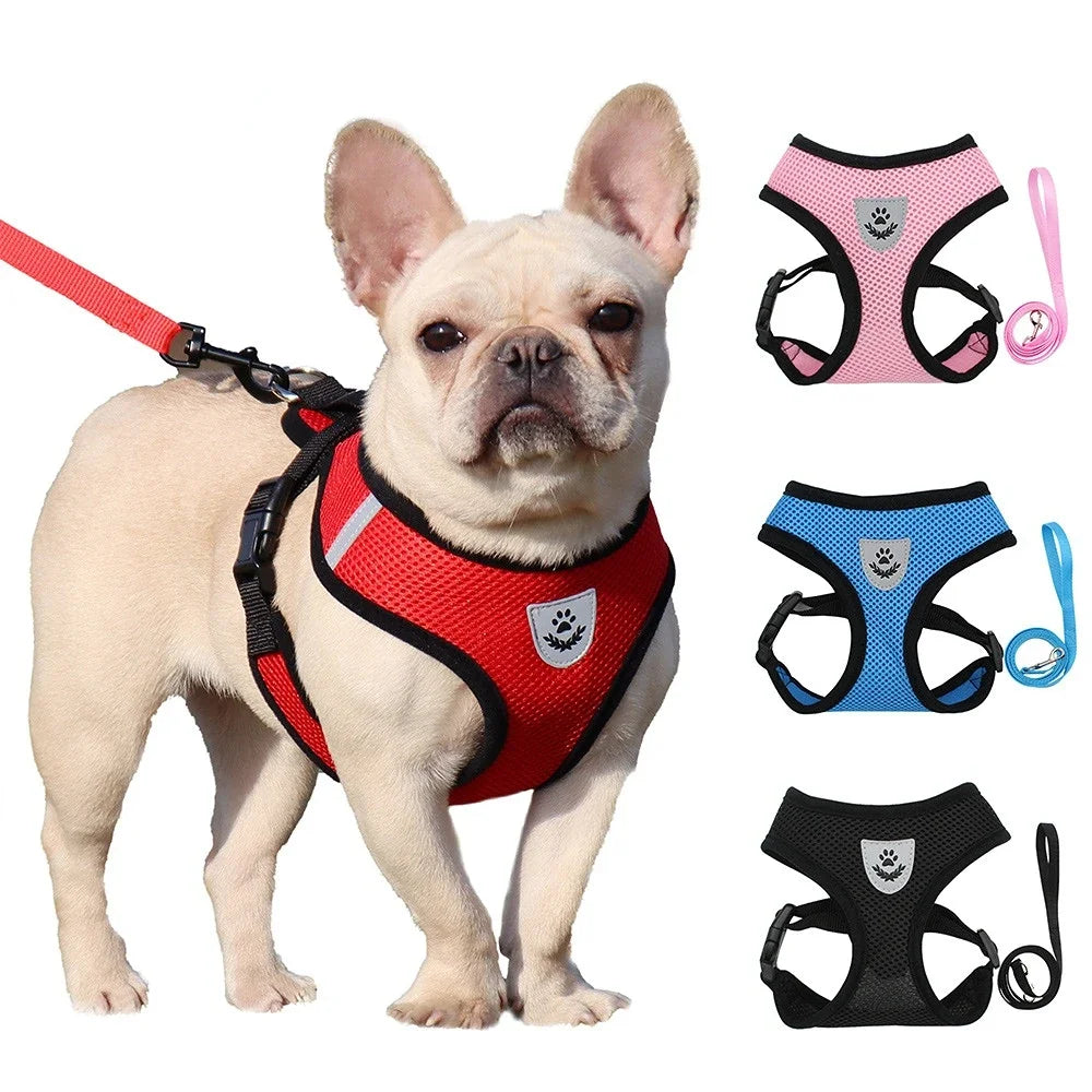 Breathable Summer Dog Cat Harness
