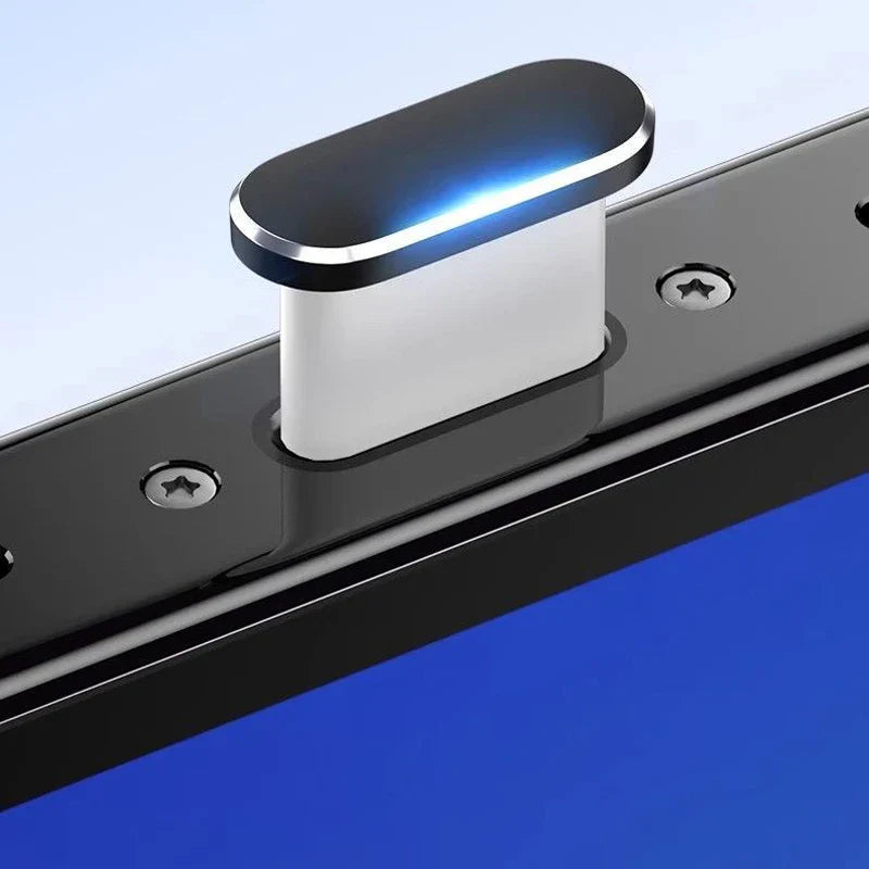 2PCS Type-C Metal Dust Plugs