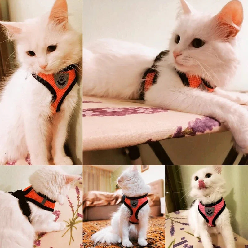 Breathable Summer Dog Cat Harness