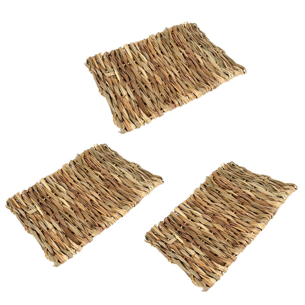 2pcs Pet Mat Grass Mats Safe Edible Mats Cages Chew Toys for Pets Size 40x28CM