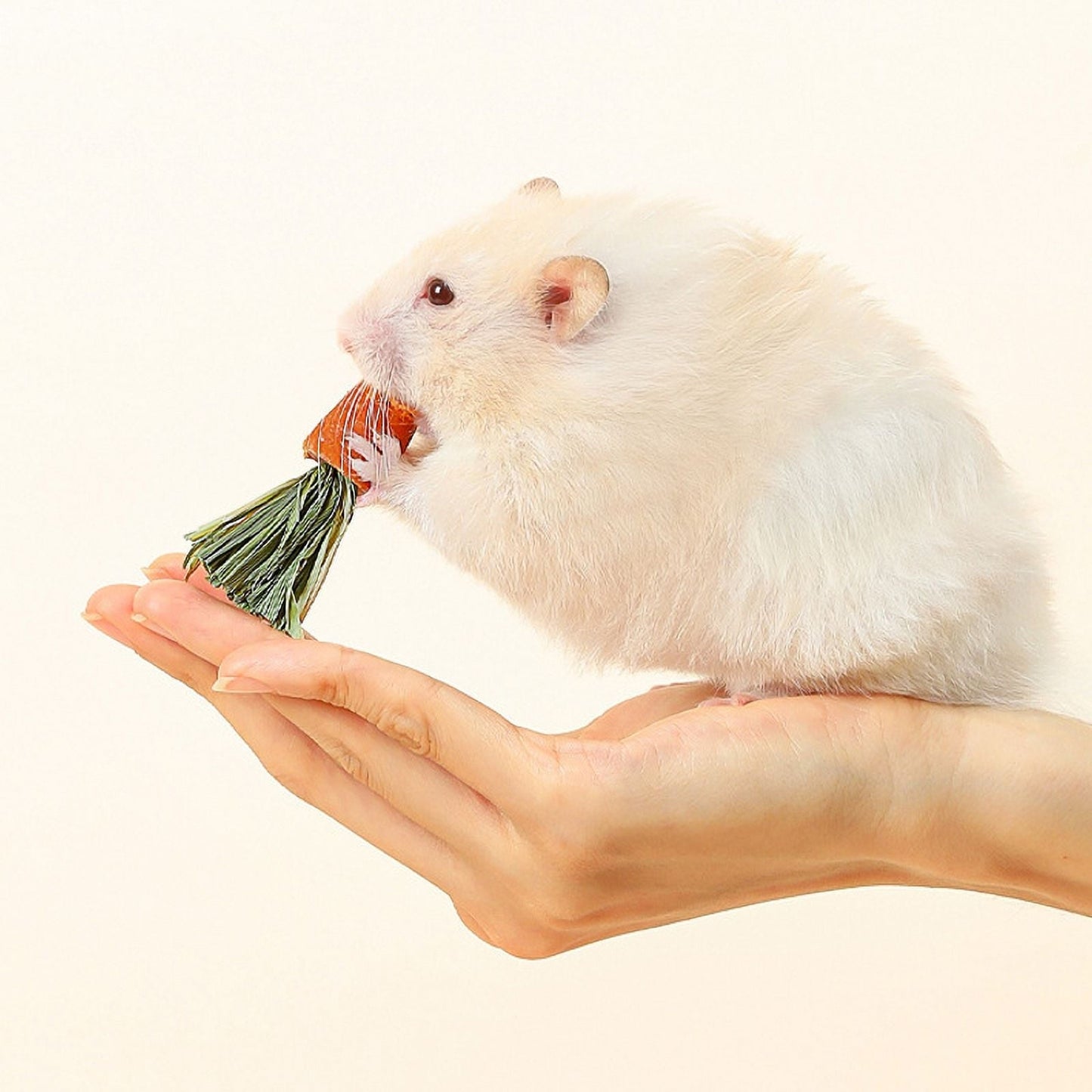 3-Pack Natural Hamster Chew Toys for Healthy Teeth & Nutrition Fun Carrot Teething Treats