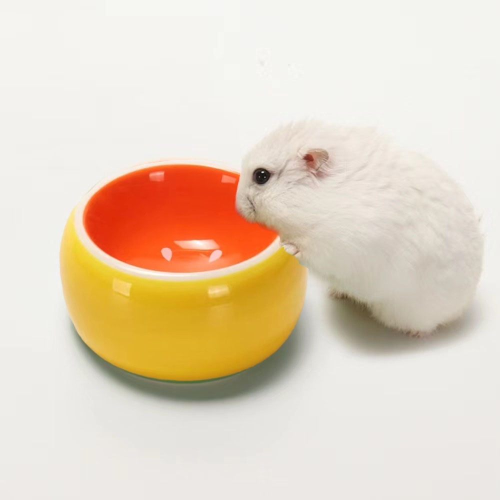 2pcs Hamster Food Bowl, Ceramic Food Dish and Water Bowl for Bunny Guinea Pig Gerbil Hamster Paraugas