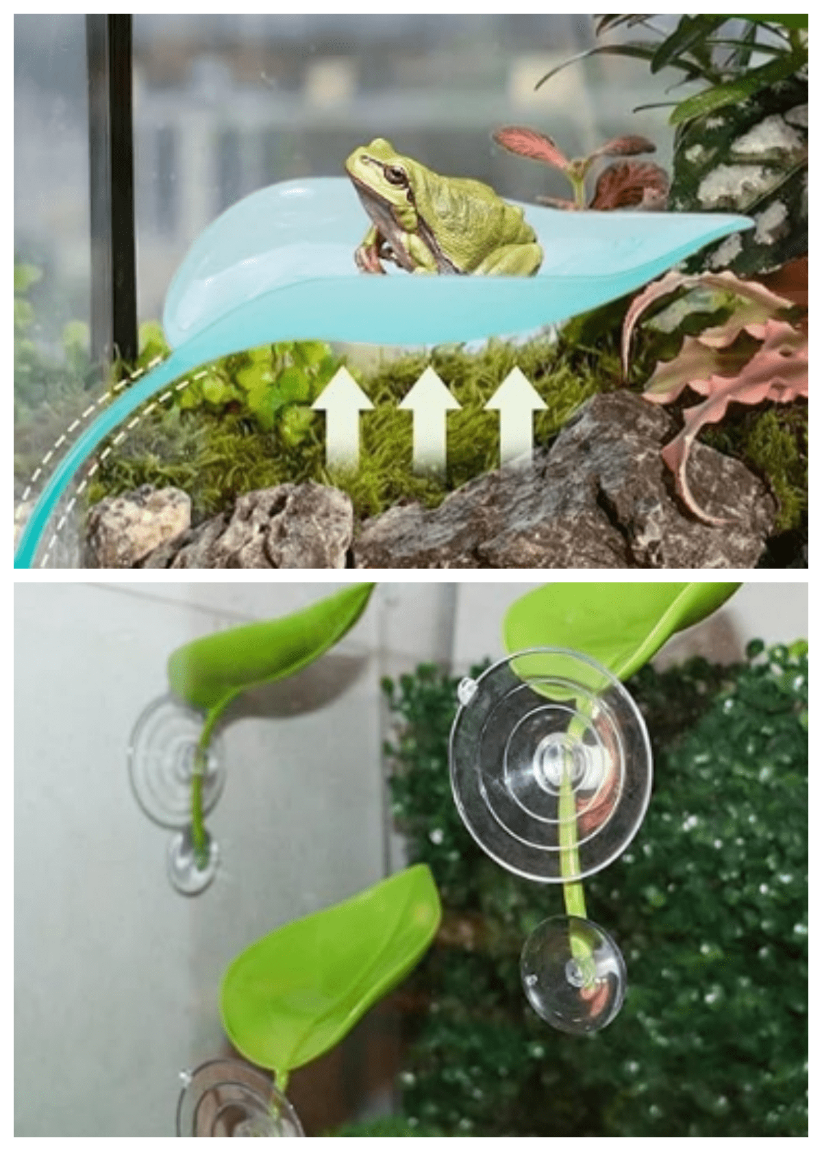 3 Pack Leaf Decorations with Suction Cups, Frog Habitat Platform, Reptile Decorations for Terrarium, Frog Tank Accessories, Terrarium Decor for Tree Frog, African Dwarf Frog, Frog and Toad
